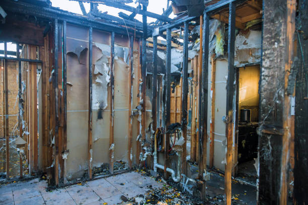 Professional Fire Damage Removal technician working in Davisboro, GA